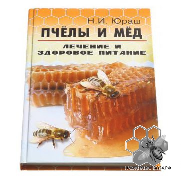 Пчёлы и мёд  лечение и здоровое питание