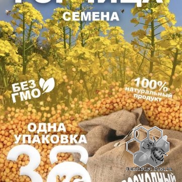 горчица семена