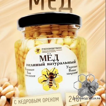 мед с кедровым орехом