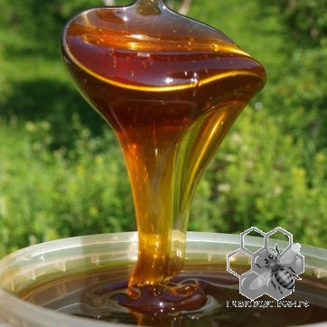мёд разнотравье с дягелем